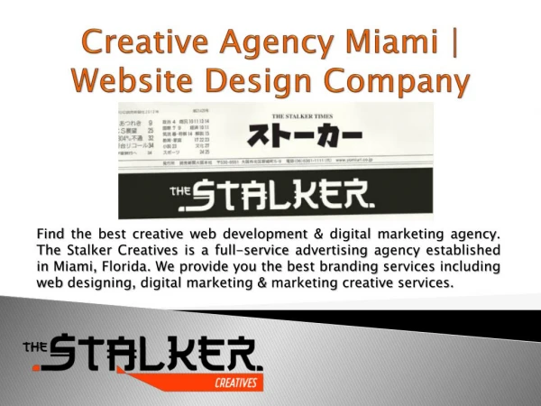 Creative Agency Miami | Website Design Company – The Stalker Creatives