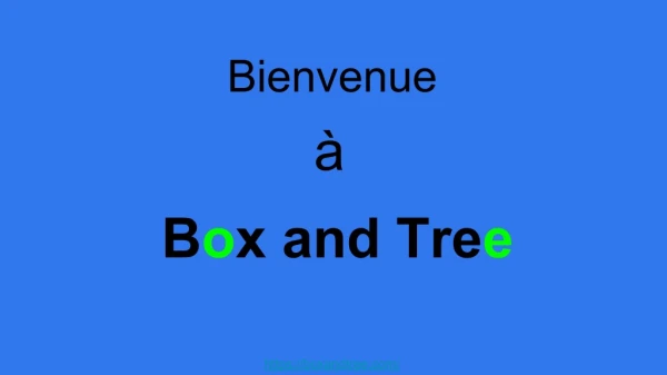 vaisselle jetable biodégradable pas cher - Box and Tree
