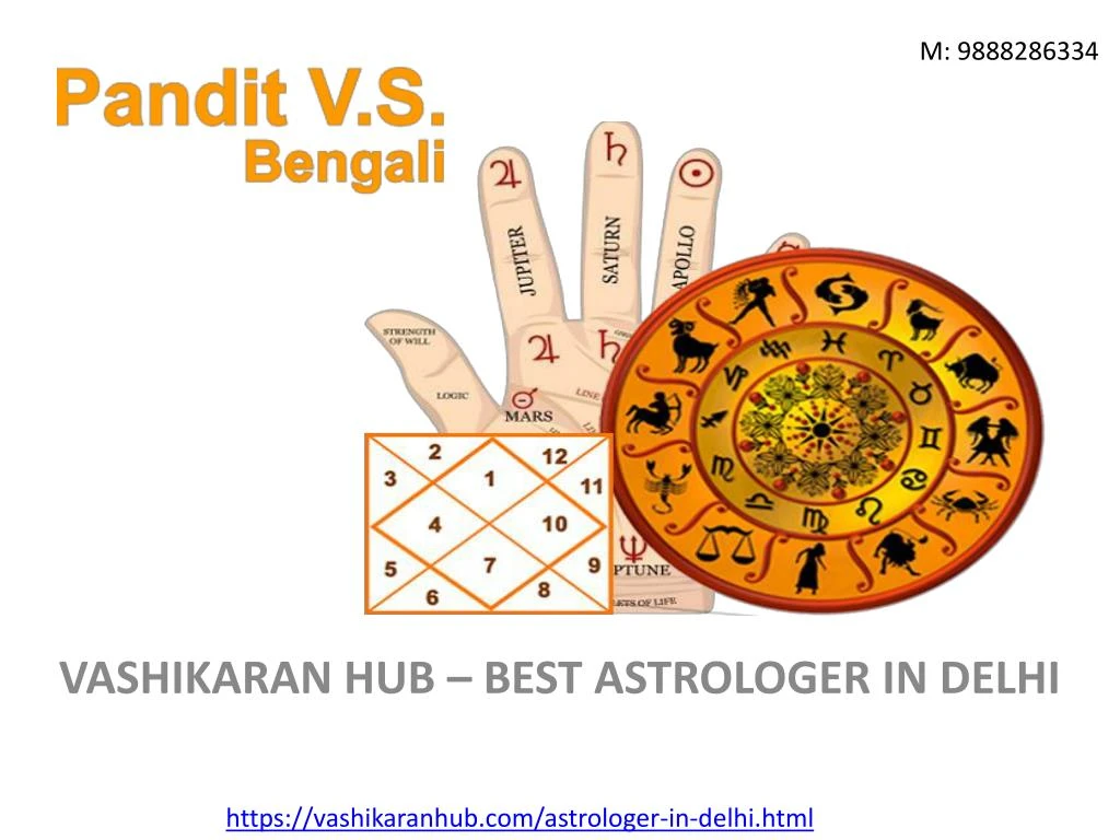 vashikaran hub best astrologer in delhi