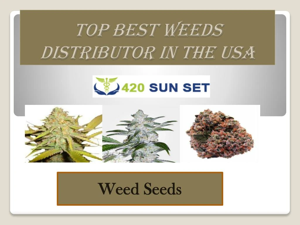 top best weeds distributor in the usa