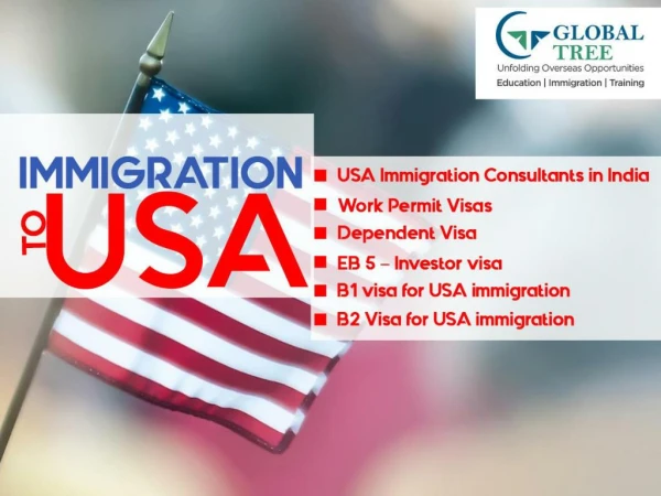USA Immigration Consultants In India | Immigration to USA - Global Tree
