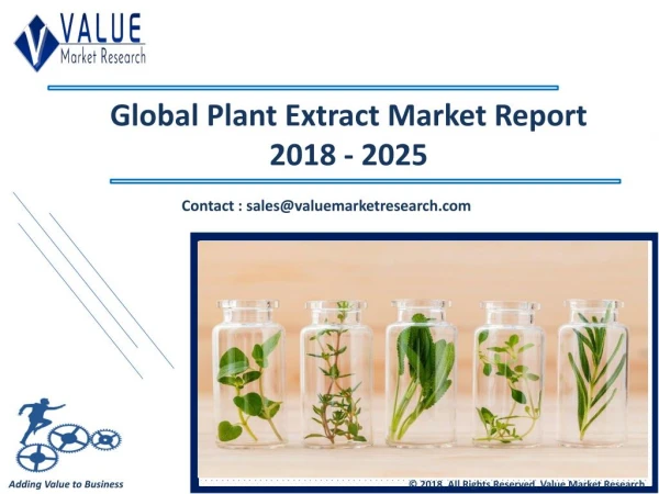 Plant Extract Market Size & Industry Forecast Research Report, 2025