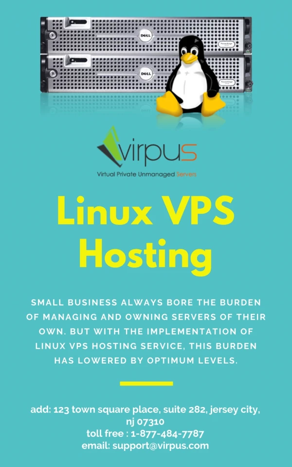 Linux VPS Hosting