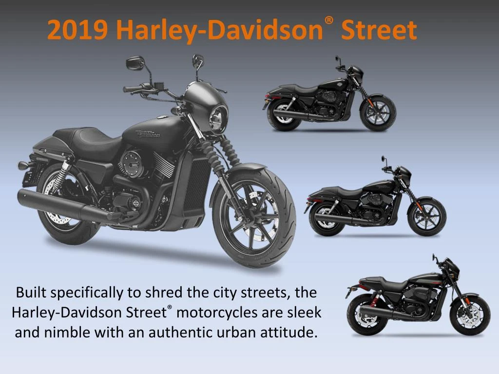 2019 harley davidson street