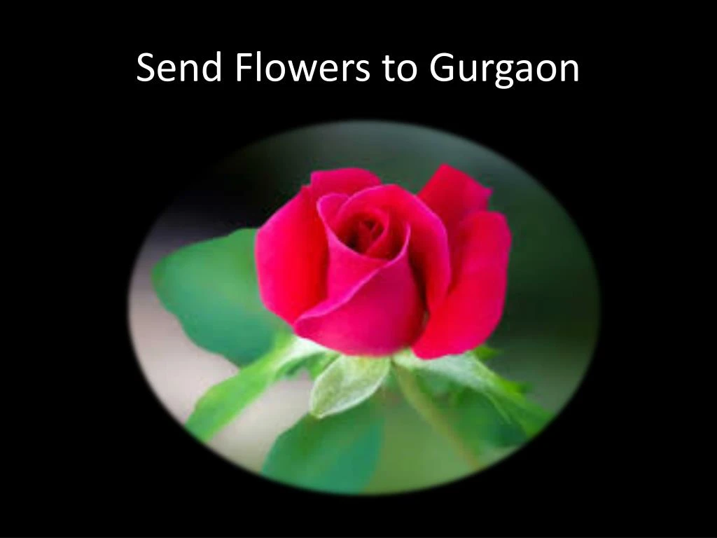 send flowers to gurgaon