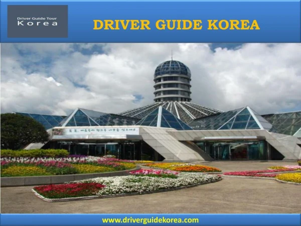 Driver Guide Korea - Korea Travel Guide