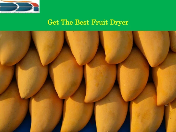 Get The Best Fruit Dryer