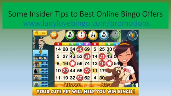 Some Insider Tips to Best Online Bingo Offers