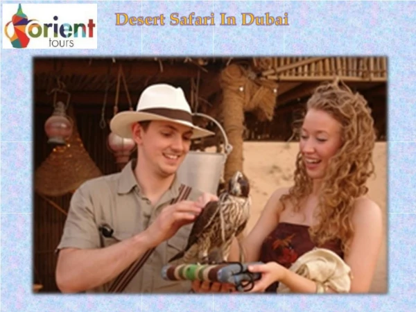 Excellent Quality Desert Safari Dubai