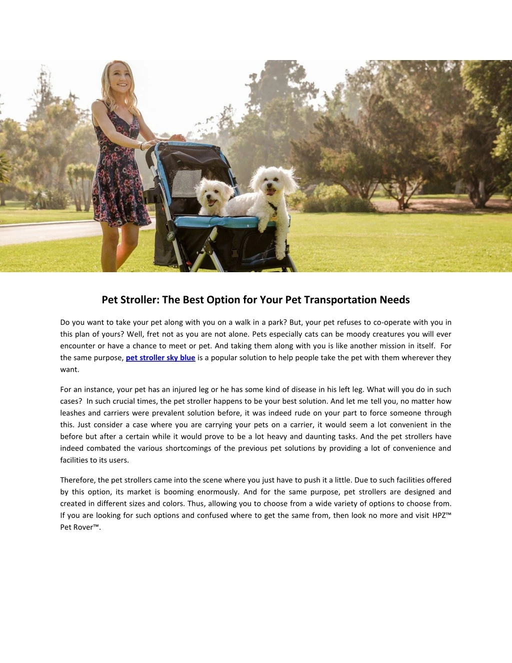 pet stroller the best option for your