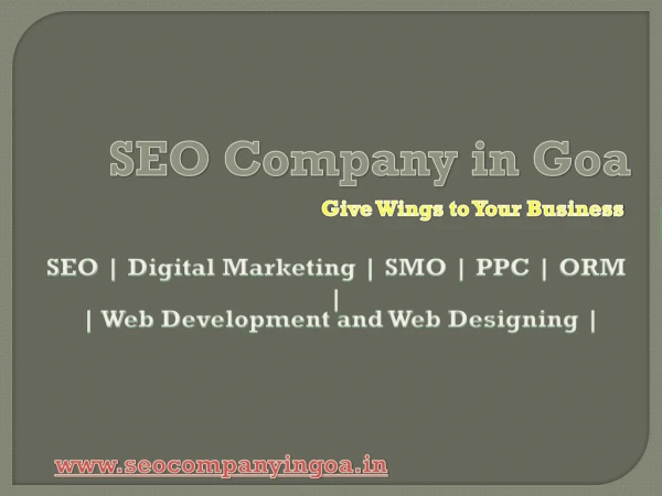 SEO Company in Goa