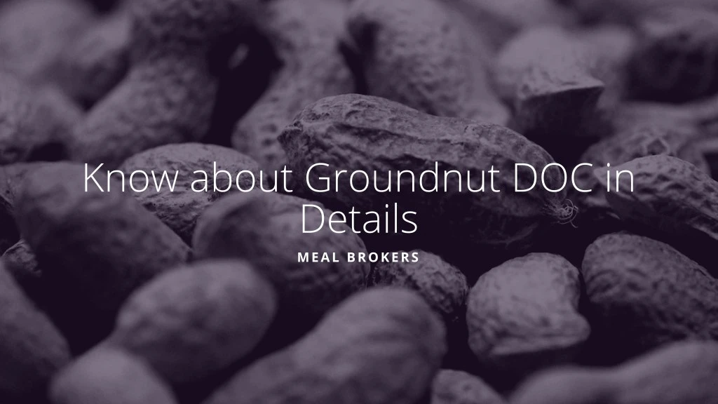 know about groundnut doc in details meal brokers