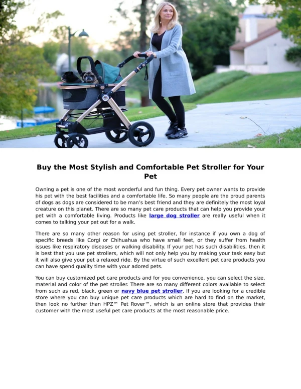 Buy the Most Stylish and Comfortable Pet Stroller for Your Pet