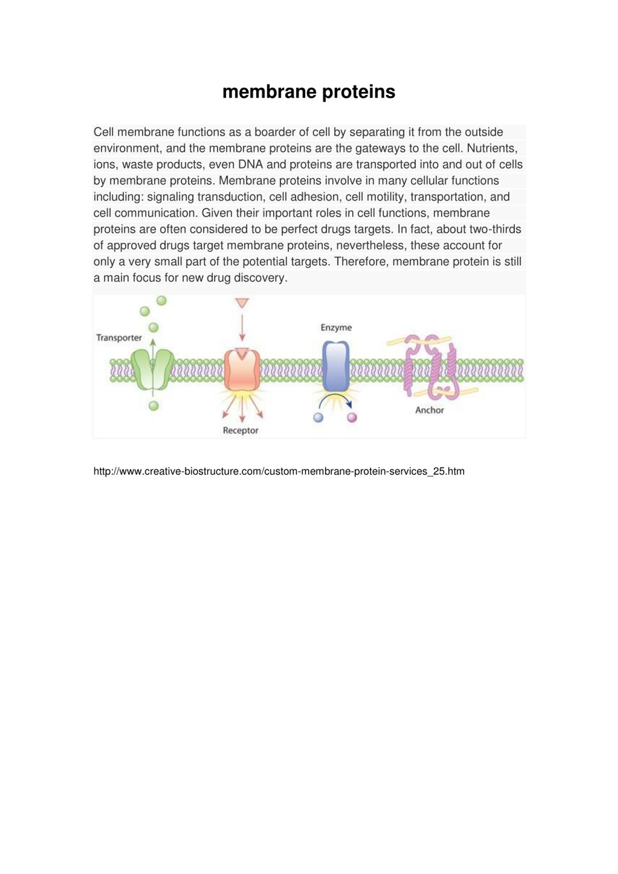 PPT - membrane proteins PowerPoint Presentation, free download - ID:8114100
