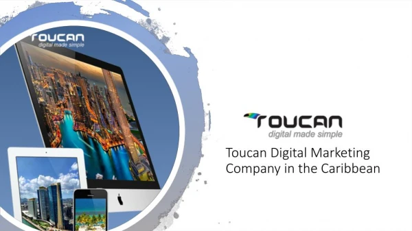 Toucan Digital Marketing Company in the Caribbean