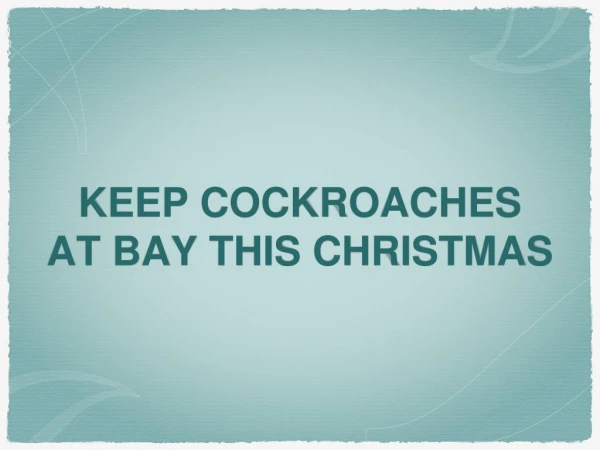 Protect Your House This Christmas From Cockroaches