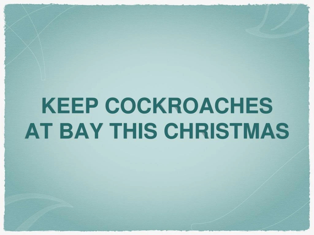 keep cockroaches at bay this christmas