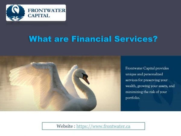What are Financial Services?