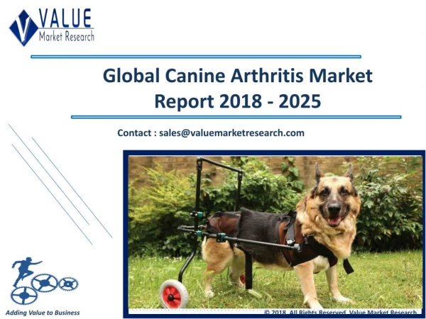 Canine Arthritis Market Share, Global Industry Analysis Report 2018-2025