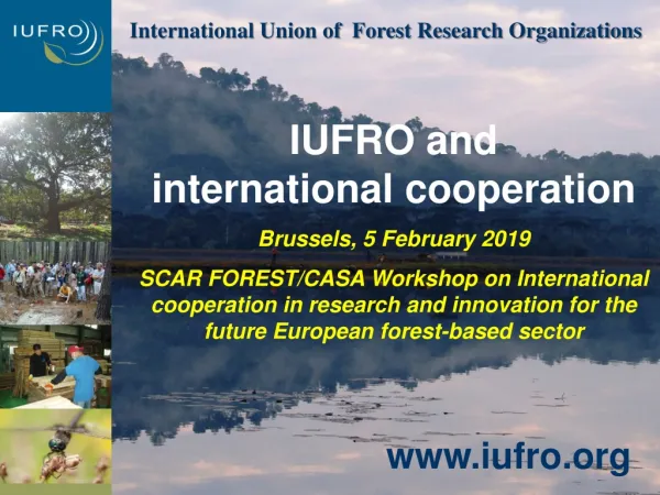 IUFRO and international cooperation Brussels, 5 February 2019