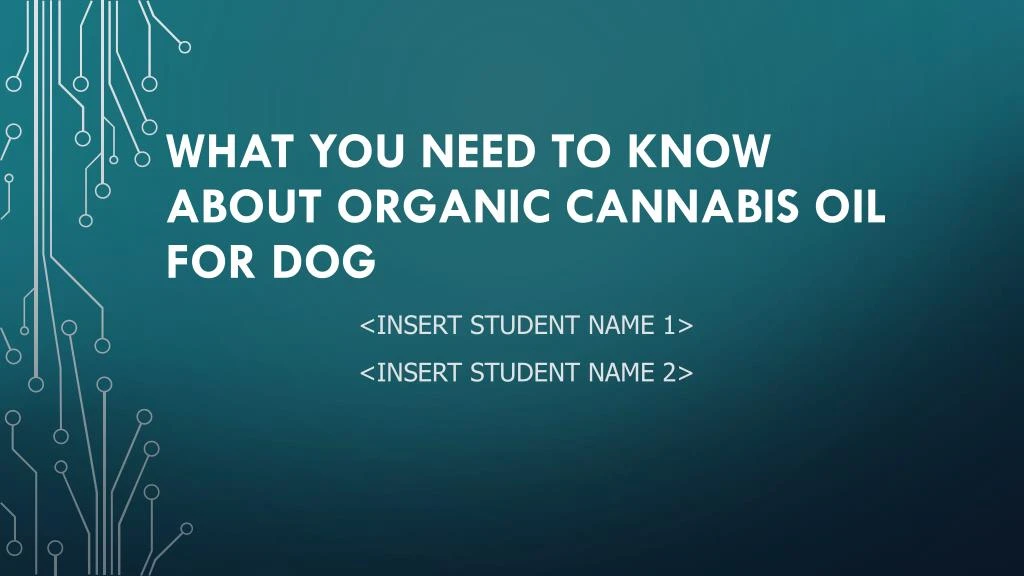 what you need to know about organic cannabis oil for dog
