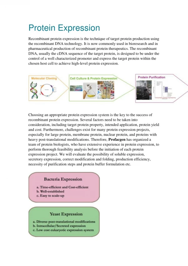 Protein Expression