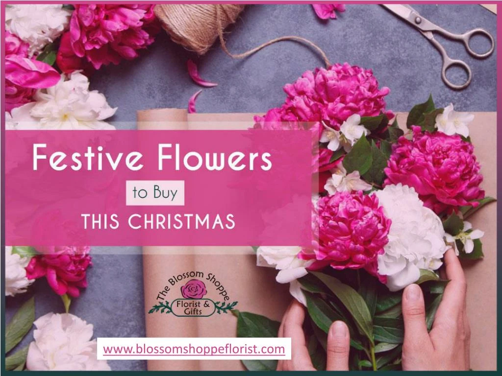 www blossomshoppeflorist com