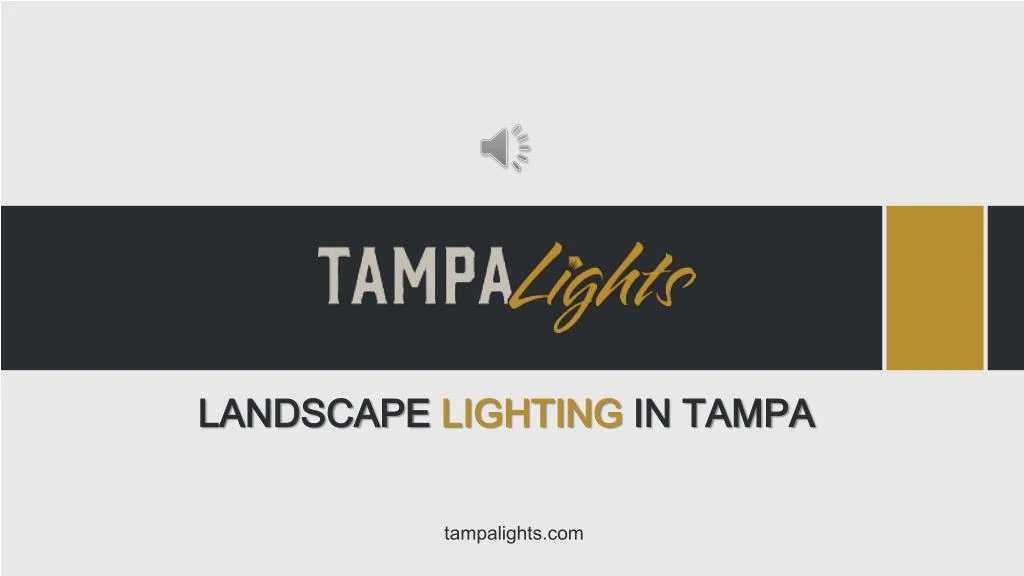 landscape lighting in tampa