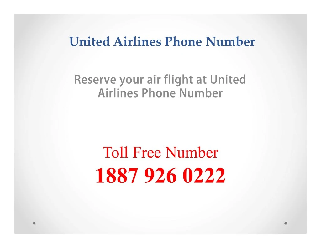 united airlines phone number