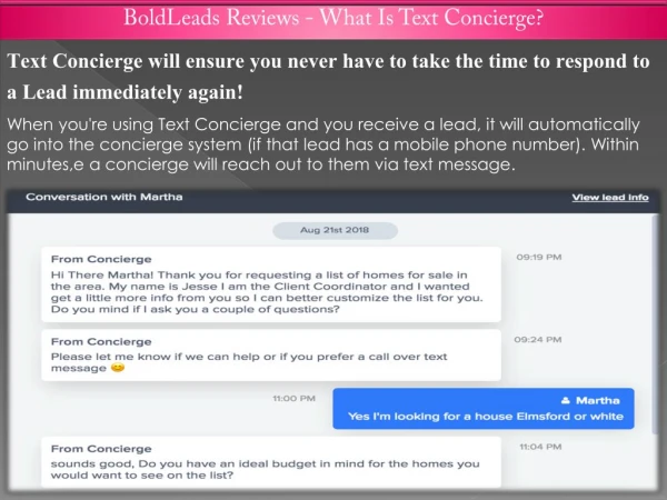 BoldLeads Reviews - What Is Text Concierge?