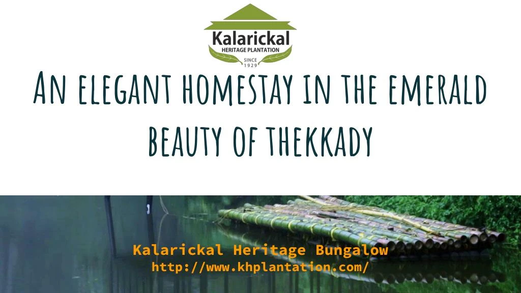 an elegant homestay in the emerald beauty of thekkady