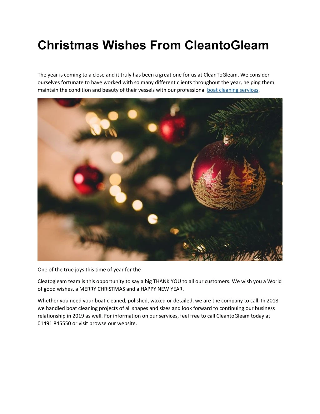 Christmas Wishes From CleantoGleam