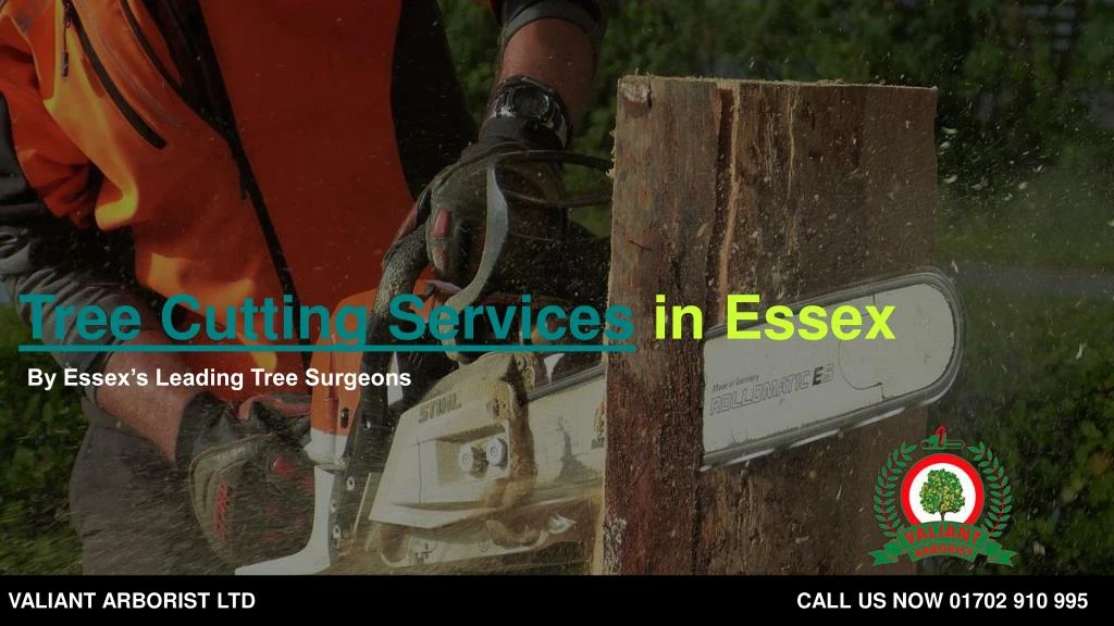 tree cutting services in essex