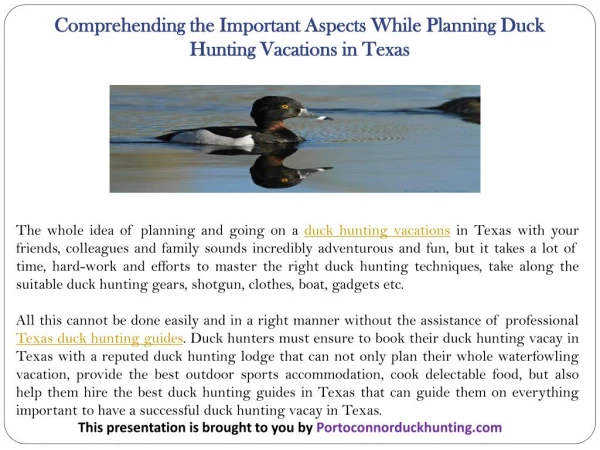 Comprehending the Important Aspects While Planning Duck Hunting Vacations in Texas
