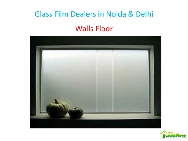 Glass Film Dealers in Noida & Delhi