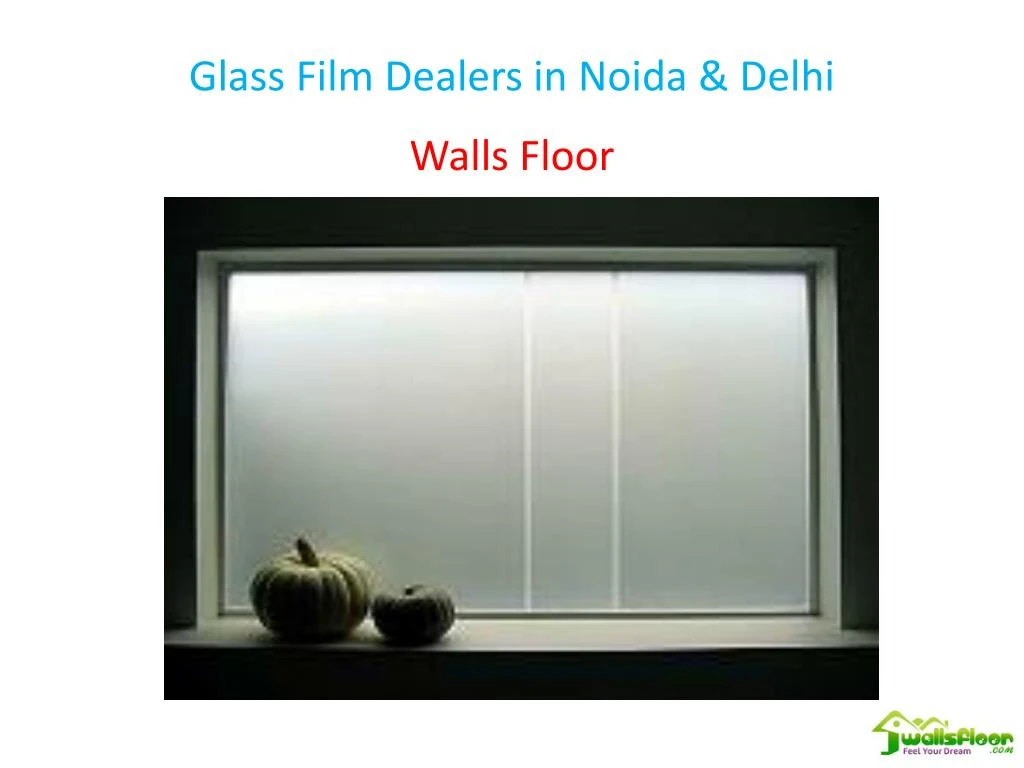 glass film dealers in noida delhi