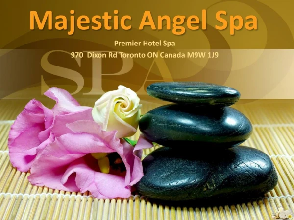 Contact For The Best Massage In Toronto At the Best Price