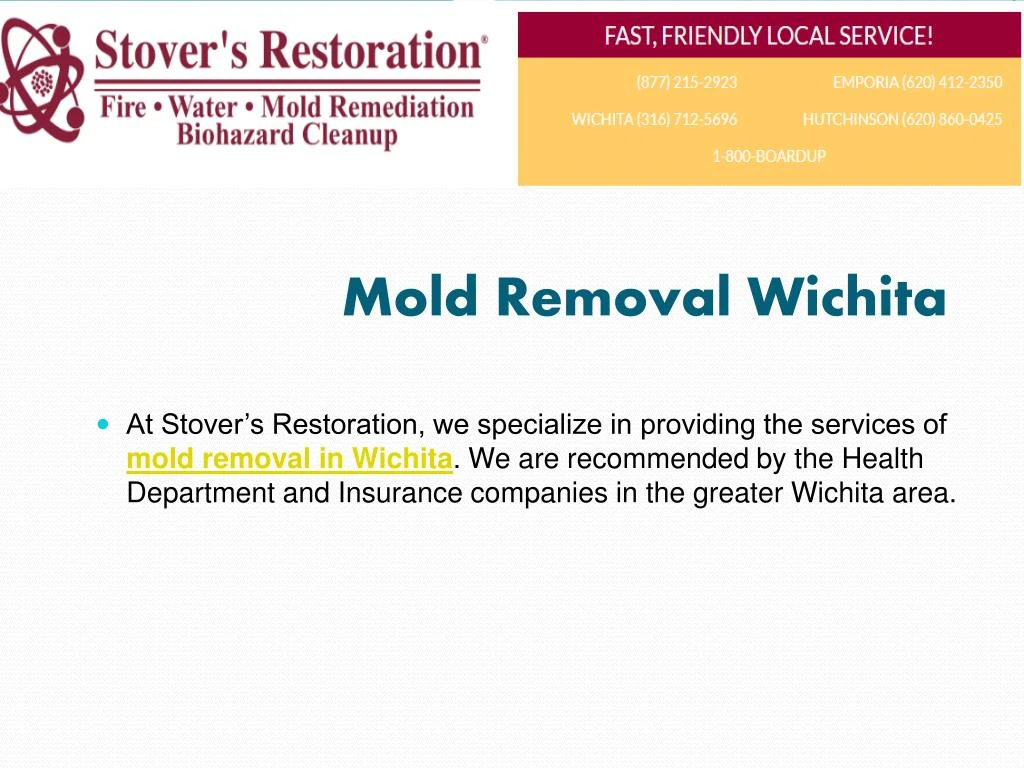 mold removal wichita