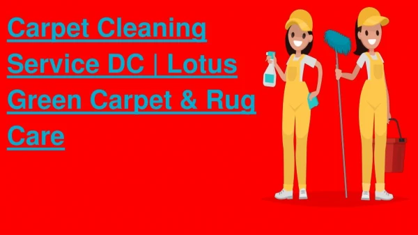 Carpet Cleaning Service DC | Lotus Green Carpet & Rug Care