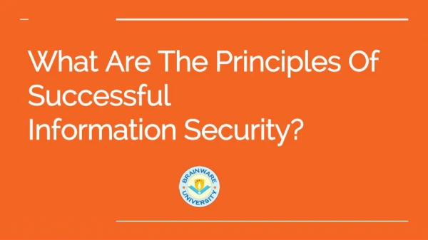 What Are The Principles Of Successful Information Security?