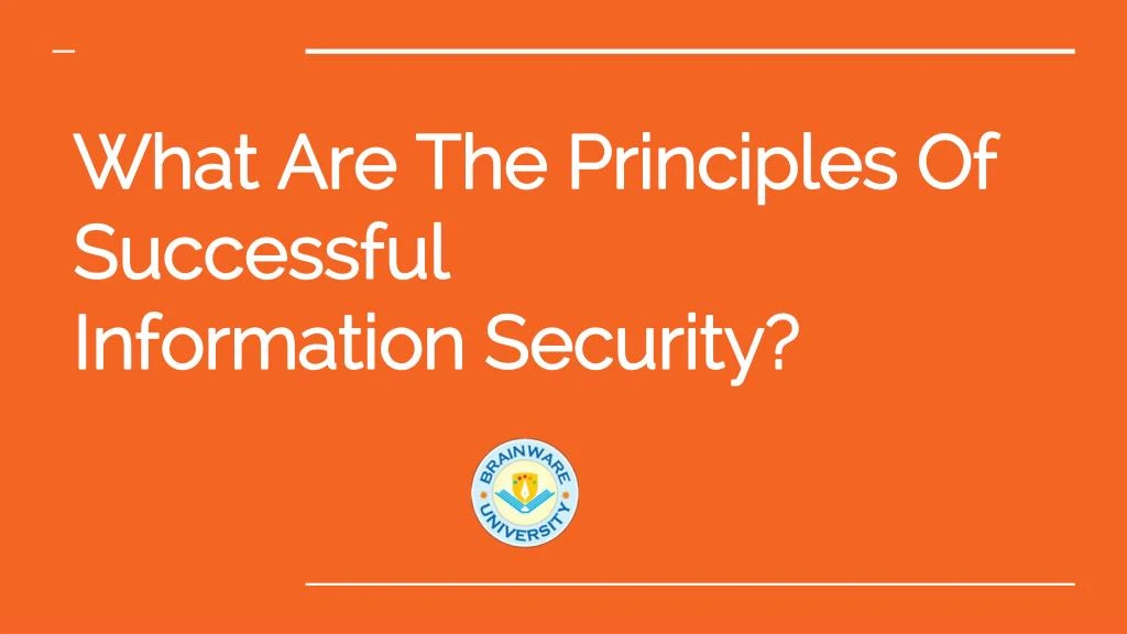 what are the principles of successful information security