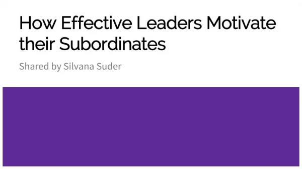 How Effective Leaders Motivate their Subordinates By Silvana Suder