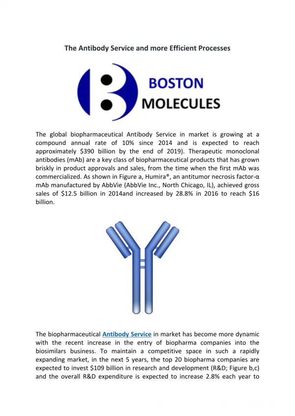 The Antibody Service and more Efficient Processes