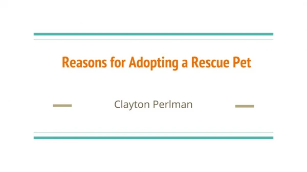Reasons for Adopting a Rescue Pet: Clayton Perlman