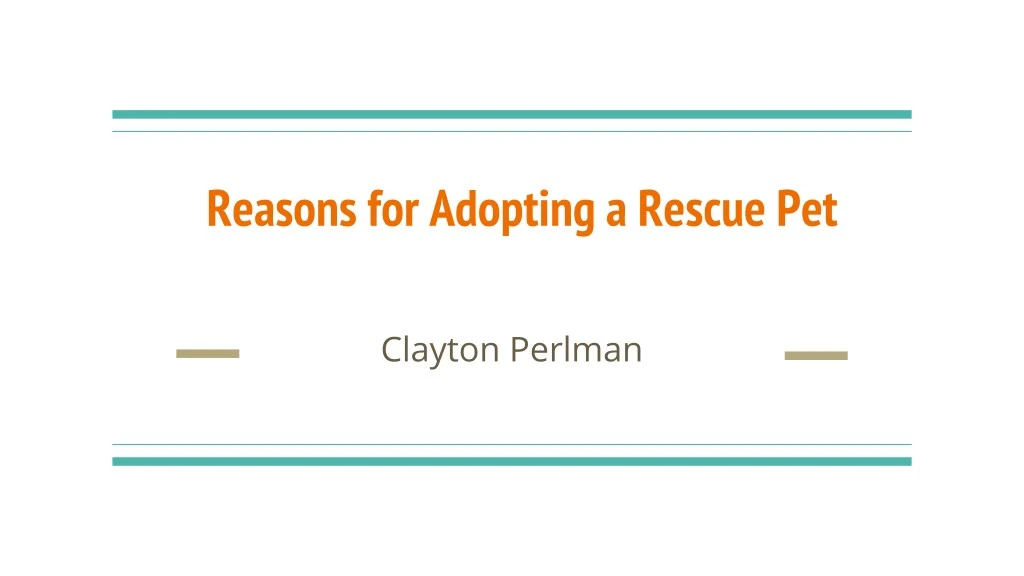 reasons for adopting a rescue pet