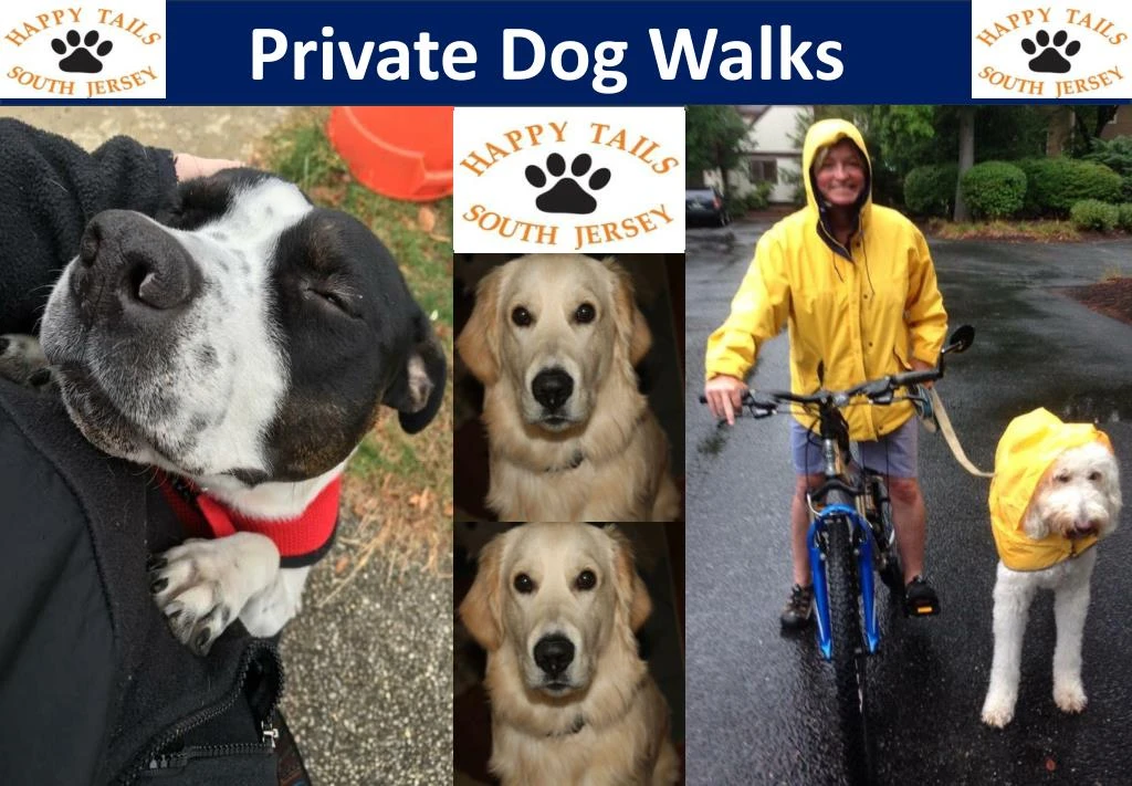 private dog walks