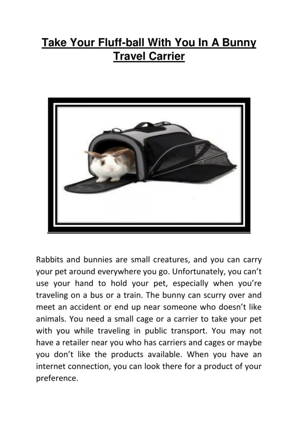 Take Your Fluff-ball With You In A Bunny Travel Carrier