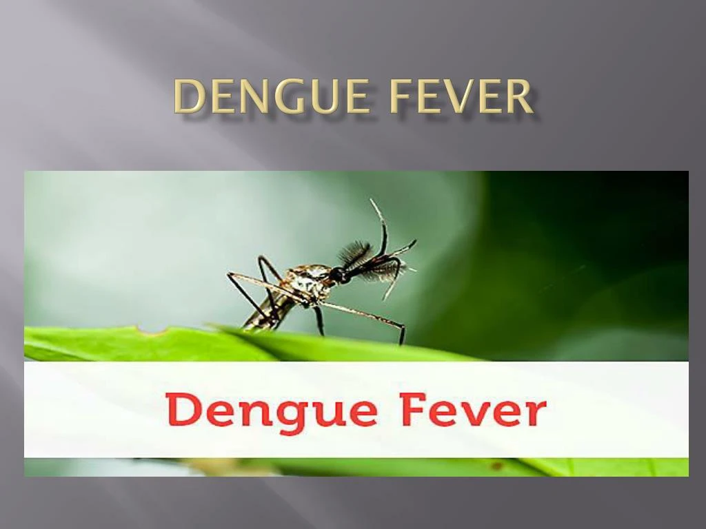 dengue fever