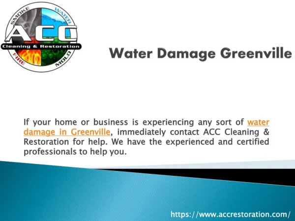 Water Damage Greenville