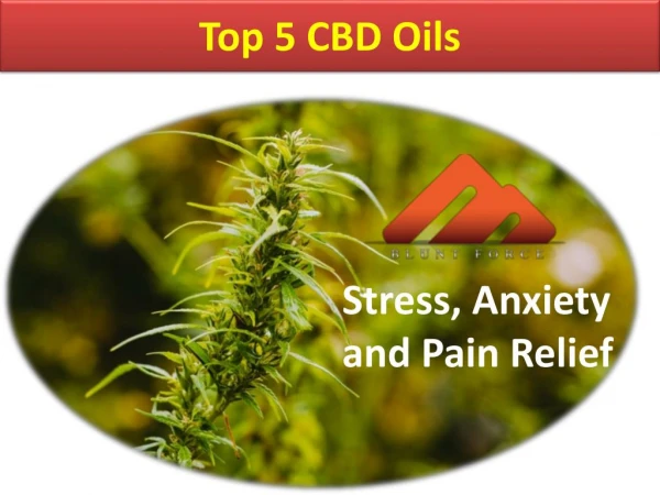 Blunt Force Shop: Best CBD Oils For Anxiety and Pain Relief